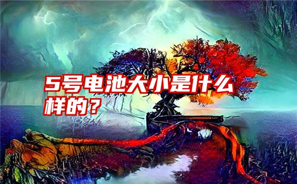 5号电池大小是什么样的？