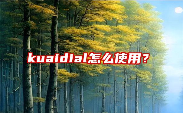 kuaidial怎么使用？