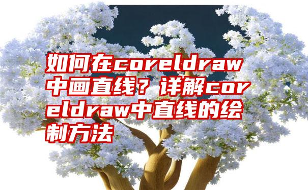 如何在coreldraw中画直线？详解coreldraw中直线的绘制方法