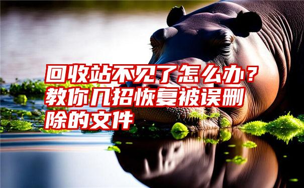 回收站不见了怎么办？教你几招恢复被误删除的文件