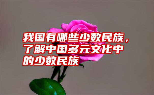 我国有哪些少数民族，了解中国多元文化中的少数民族