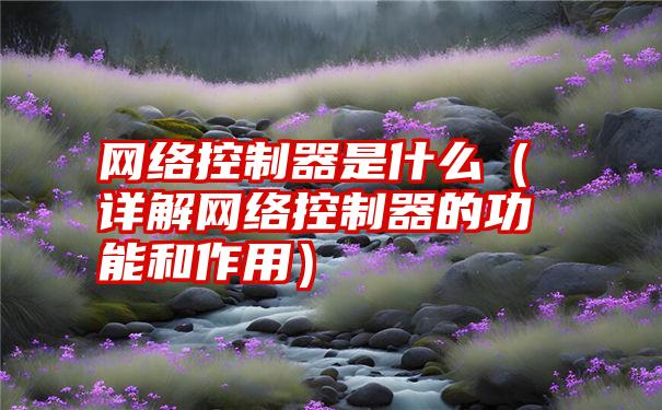 网络控制器是什么（详解网络控制器的功能和作用）