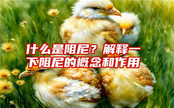 什么是阻尼？解释一下阻尼的概念和作用