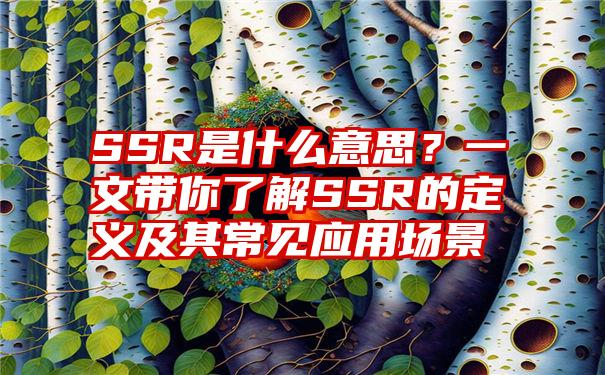 SSR是什么意思？一文带你了解SSR的定义及其常见应用场景