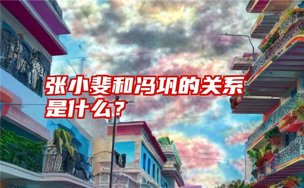 张小斐和冯巩的关系是什么？