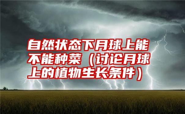 自然状态下月球上能不能种菜（讨论月球上的植物生长条件）