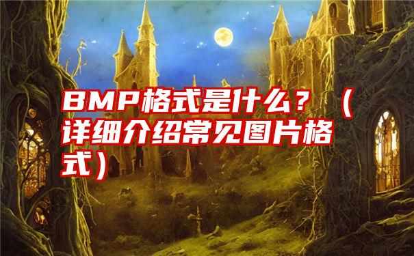 BMP格式是什么？（详细介绍常见图片格式）