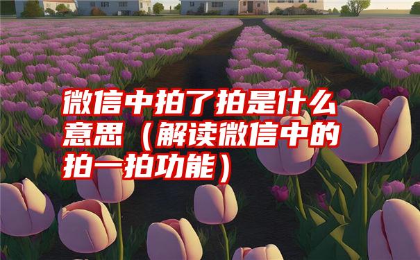 微信中拍了拍是什么意思（解读微信中的拍一拍功能）