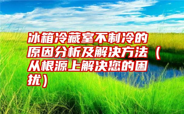 冰箱冷藏室不制冷的原因分析及解决方法（从根源上解决您的困扰）