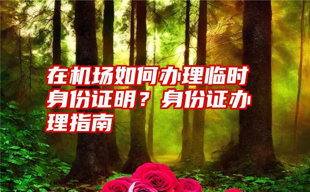 在机场如何办理临时身份证明？身份证办理指南