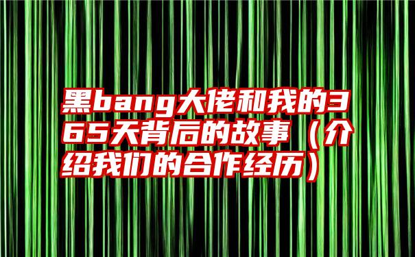 黑bang大佬和我的365天背后的故事（介绍我们的合作经历）