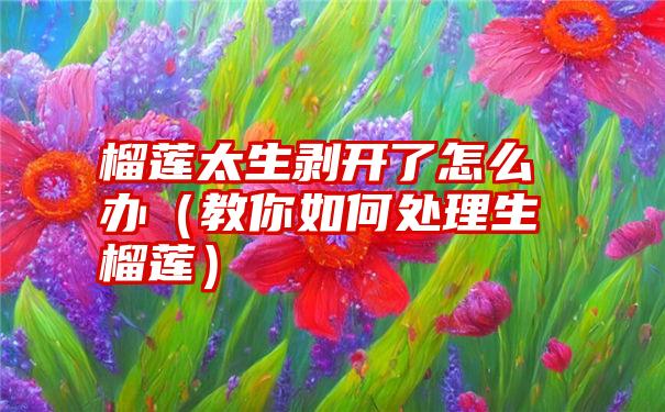 榴莲太生剥开了怎么办（教你如何处理生榴莲）