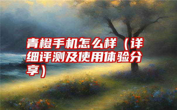 青橙手机怎么样（详细评测及使用体验分享）