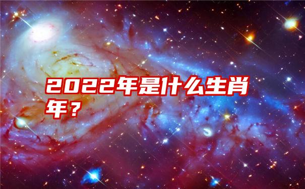 2022年是什么生肖年？