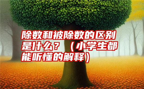 除数和被除数的区别是什么？（小学生都能听懂的解释）