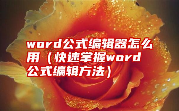 word公式编辑器怎么用（快速掌握word公式编辑方法）