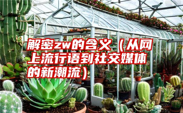 解密zw的含义（从网上流行语到社交媒体的新潮流）