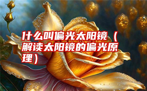 什么叫偏光太阳镜（解读太阳镜的偏光原理）