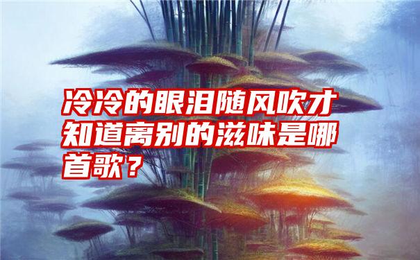 冷冷的眼泪随风吹才知道离别的滋味是哪首歌？