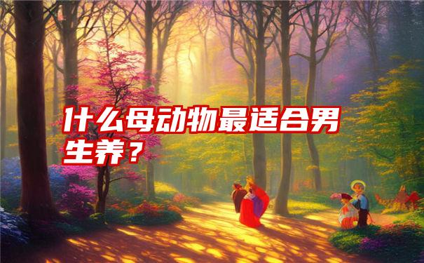 什么母动物最适合男生养？