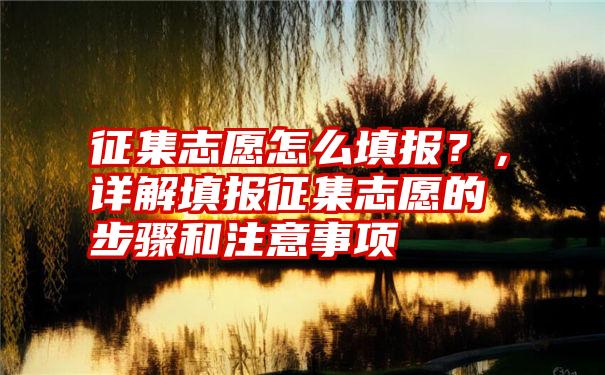 征集志愿怎么填报？，详解填报征集志愿的步骤和注意事项