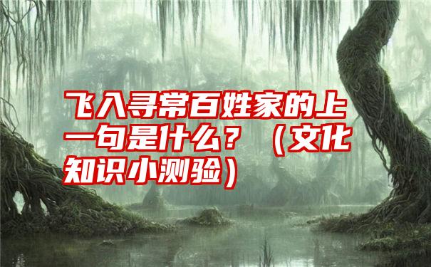 飞入寻常百姓家的上一句是什么？（文化知识小测验）