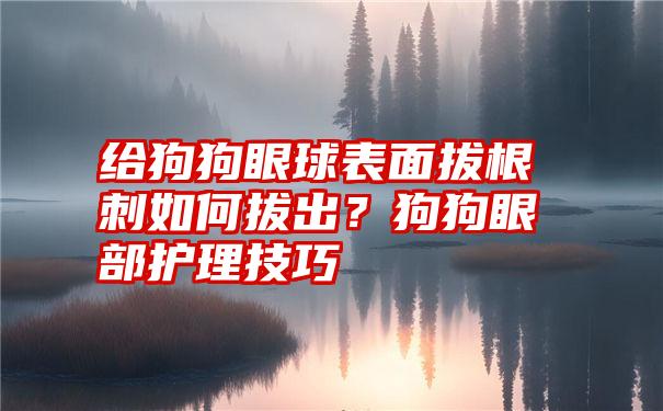 给狗狗眼球表面拔根刺如何拔出？狗狗眼部护理技巧