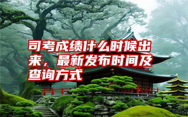 司考成绩什么时候出来，最新发布时间及查询方式