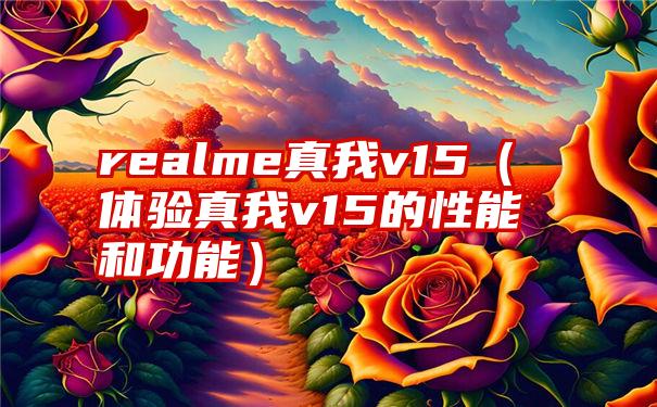 realme真我v15（体验真我v15的性能和功能）