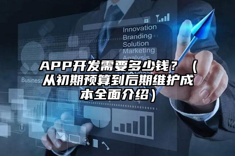 APP开发需要多少钱？（从初期预算到后期维护成本全面介绍）