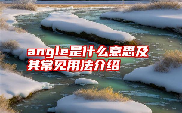 angle是什么意思及其常见用法介绍