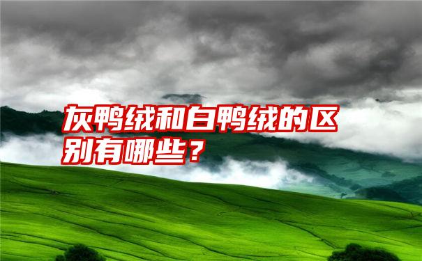 灰鸭绒和白鸭绒的区别有哪些？