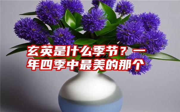 玄英是什么季节？一年四季中最美的那个