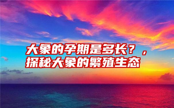 大象的孕期是多长？，探秘大象的繁殖生态