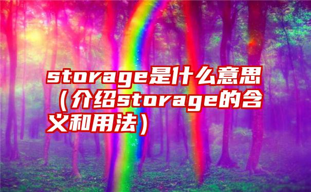 storage是什么意思（介绍storage的含义和用法）