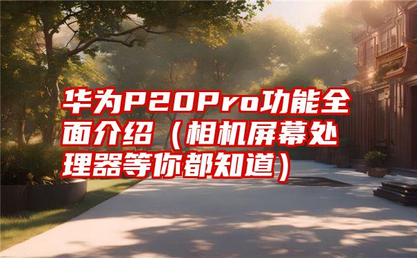 华为P20Pro功能全面介绍（相机屏幕处理器等你都知道）