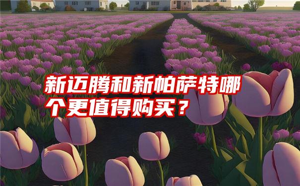 新迈腾和新帕萨特哪个更值得购买？