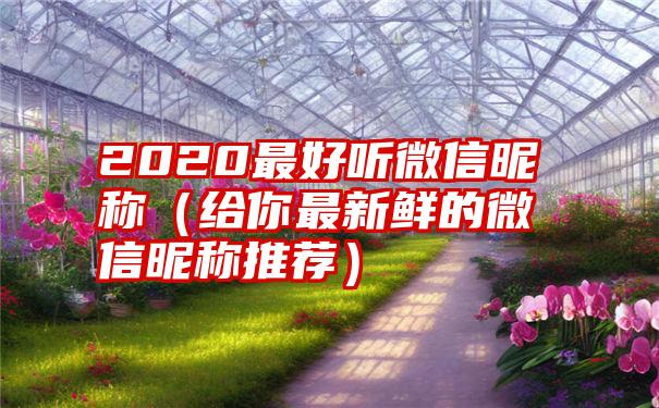 2020最好听微信昵称（给你最新鲜的微信昵称推荐）