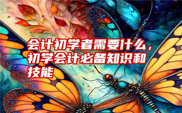 会计初学者需要什么，初学会计必备知识和技能