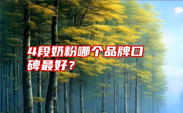 4段奶粉哪个品牌口碑最好？