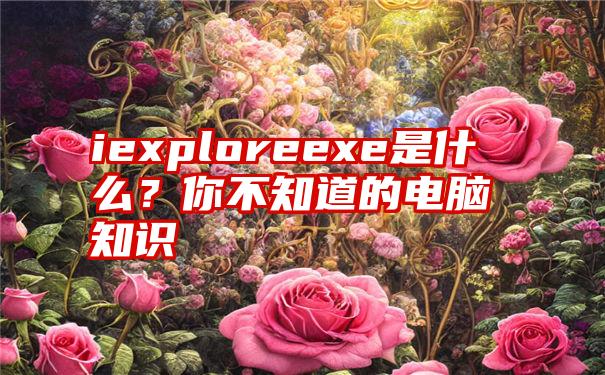 iexploreexe是什么？你不知道的电脑知识