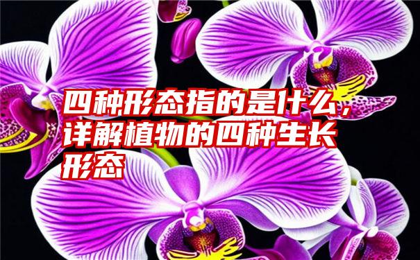 四种形态指的是什么，详解植物的四种生长形态