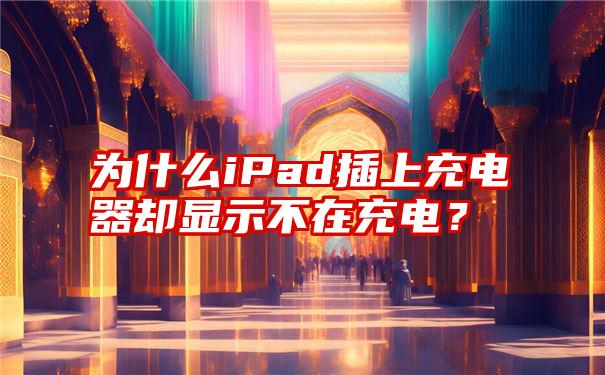 为什么iPad插上充电器却显示不在充电？