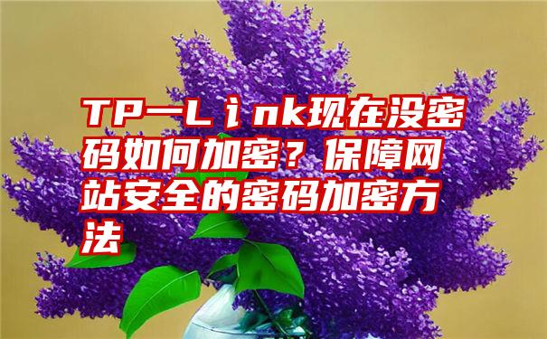 TP一L讠nk现在没密码如何加密？保障网站安全的密码加密方法