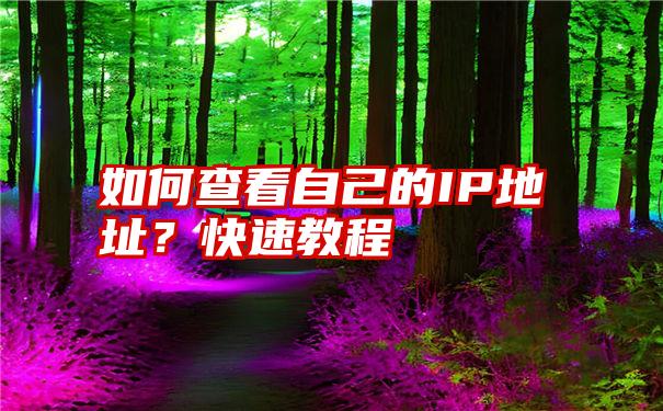 如何查看自己的IP地址？快速教程