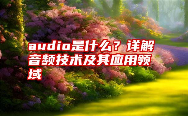 audio是什么？详解音频技术及其应用领域