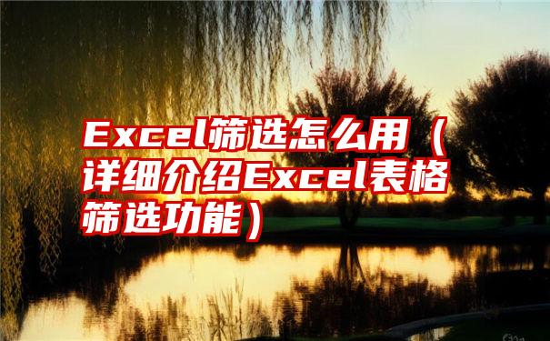 Excel筛选怎么用（详细介绍Excel表格筛选功能）