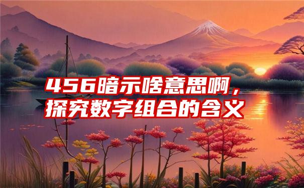 456暗示啥意思啊，探究数字组合的含义