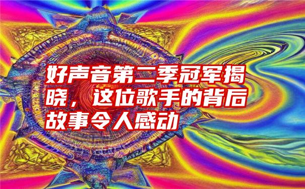 好声音第二季冠军揭晓，这位歌手的背后故事令人感动