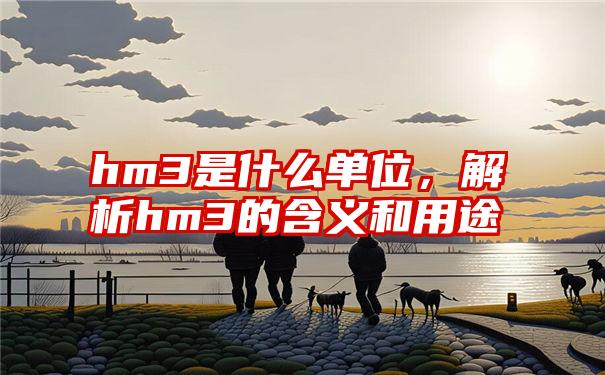 hm3是什么单位，解析hm3的含义和用途